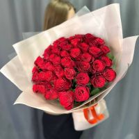 Акция! 51 красная роза 40 см. в упаковке