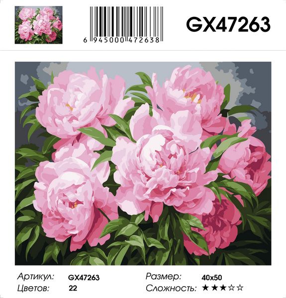 Картина по номерам на подрамнике GX47263
