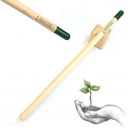 растущие карандаши с логотипом