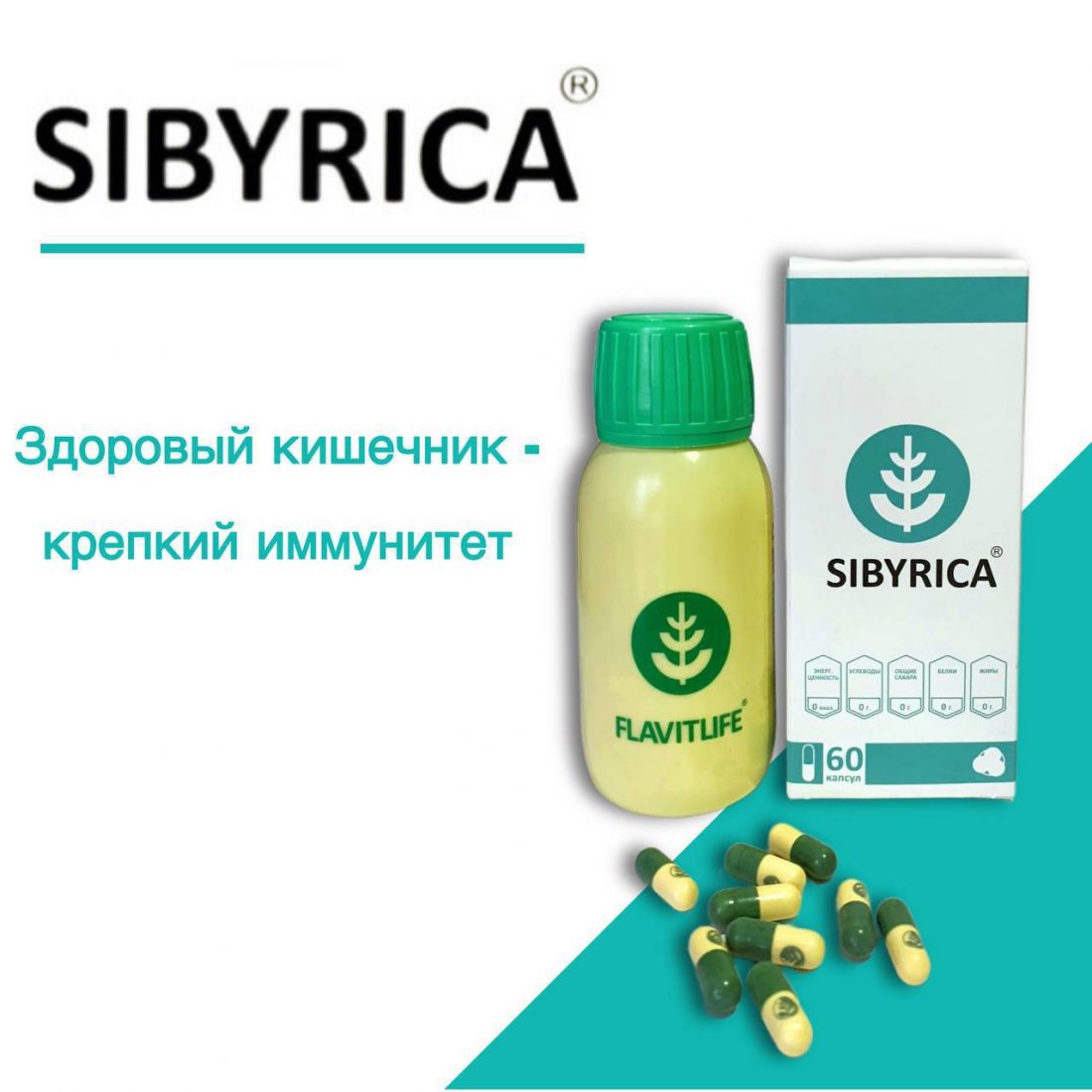 Сибирика (Alfa Дигидрокверцетин) природный антиоксидант для оздоровления организма и продления жизни