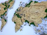 Карта мира со стабилизированным мхом