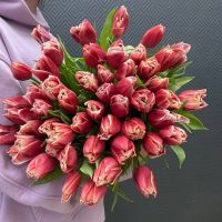 Букет из красно-белых пиновидных тюльпанов