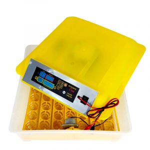 Инкубатор HHD на 56 куриных яиц с автоматически переворотом и резервным питанием