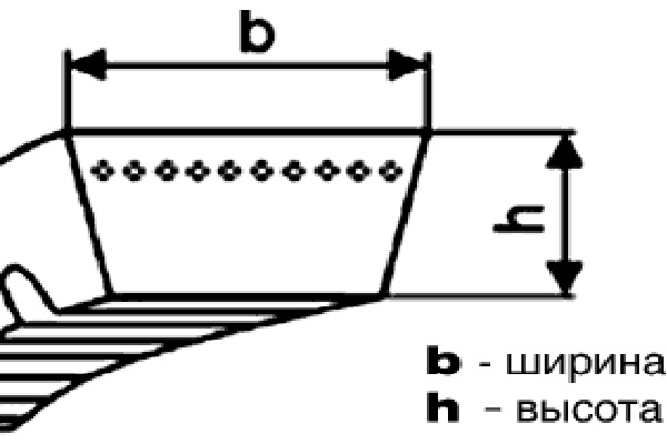 Ремень многоручьевой 2НВ-3110 La