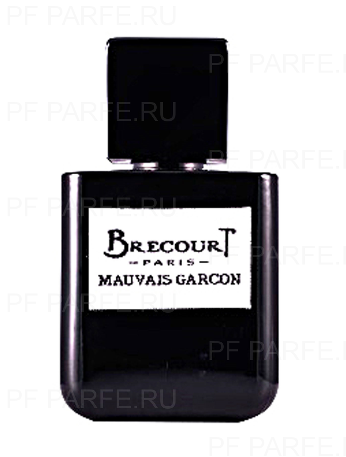 Brecourt Mauvais Garcon