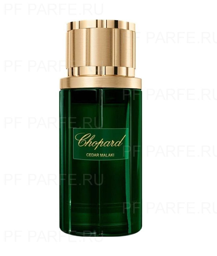 Chopard Cedar Malaki