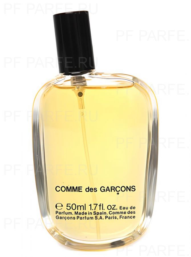 Comme des Garcons Comme des Garcons