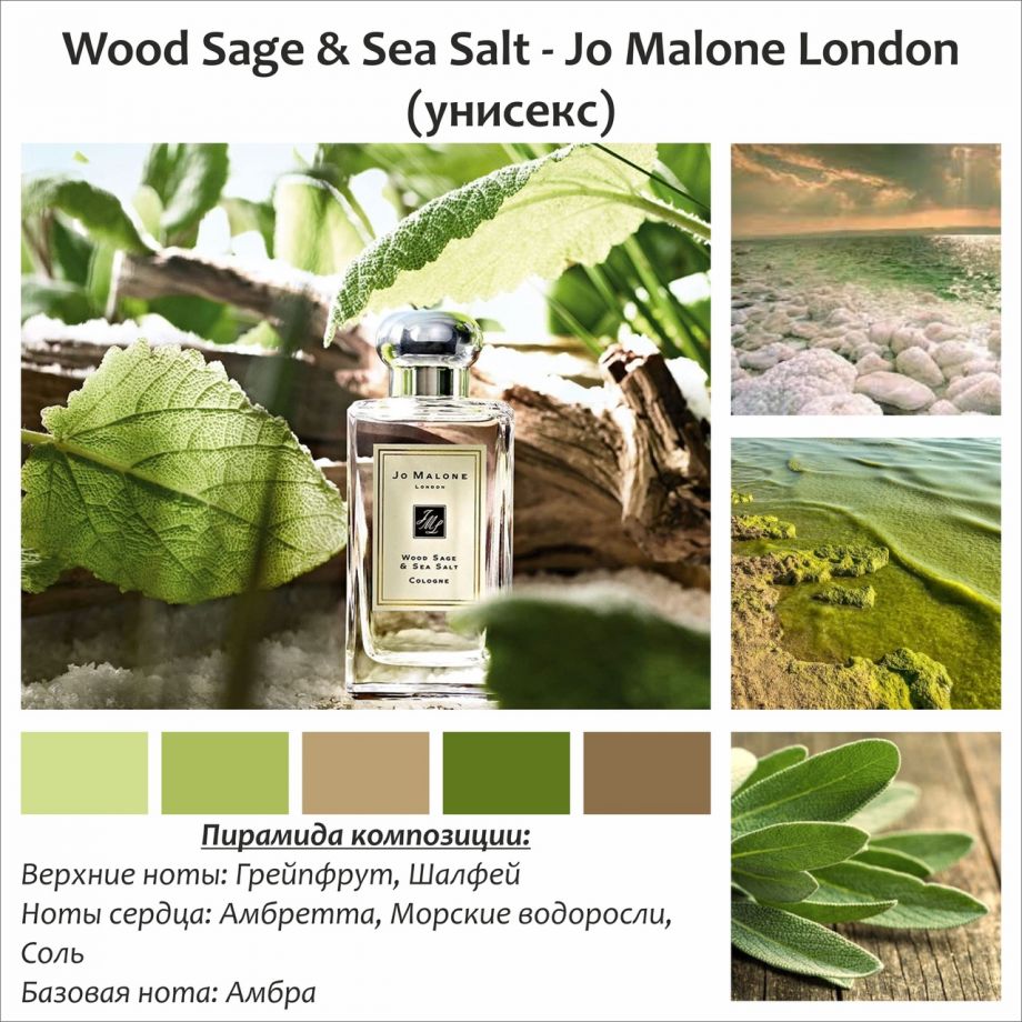 ~Wood Sage & Sea Salt  (u) ~
