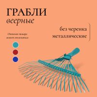 Грабли веерные, пластинчатые, 20 зубцов, металл, без черенка, тулейка 30 мм