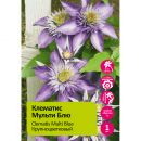 Клематис крупноцветковый Мульти Блю 1шт гр. обрезки 2/Clematis Multi Blue