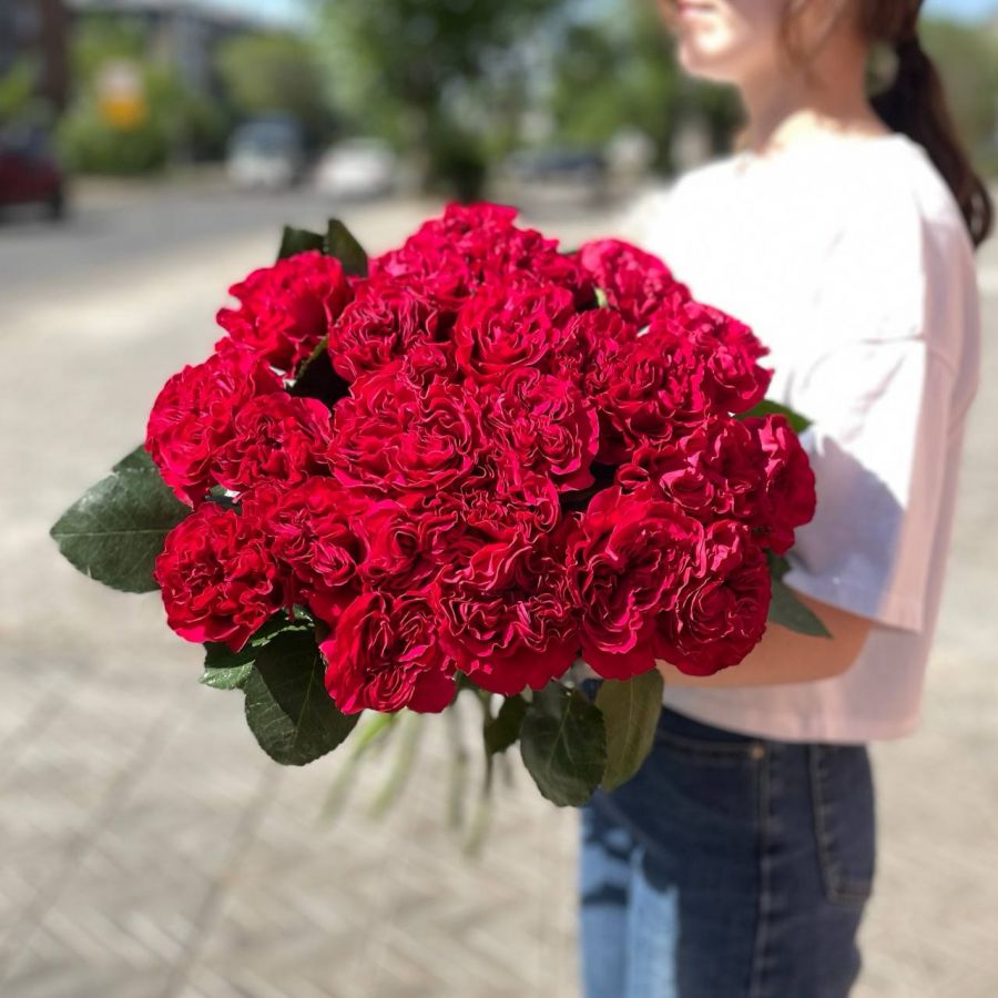 Пионовидные, красные розы (от 11шт)