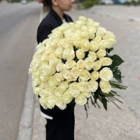 Белые розы Эквадор (от 11 шт)