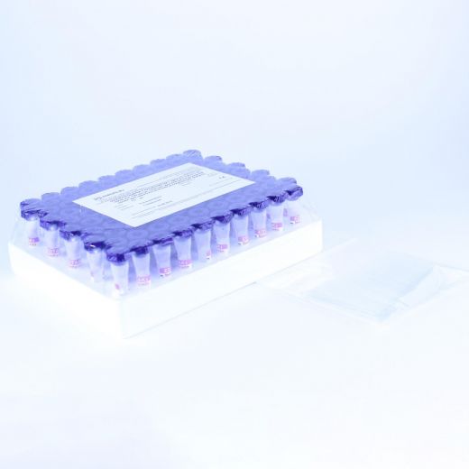 Микропробирки без капилляра с ЭДТА К2, 0,25-0,5 мл, 10х45 мм, пластик, для взятия капиллярной крови, Bodywin, 100 шт/упак