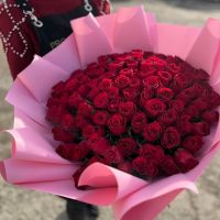 101 красная роза Кения в упаковке (50см)