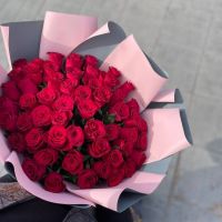 51 красная роза Кения в упаковке (50см)