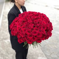 101 красная роза 50см