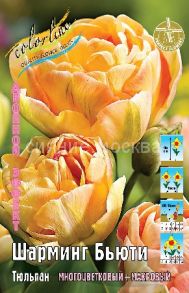 Тюльпан	Шарминг Бьюти (Tulipa Charming Beauty), МНОГОЦВЕТКОВЫЙ МАХРОВЫЙ, 11/12, 1 шт