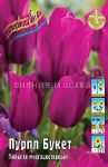 Tyulpan-Purpl-Buket-Tulipa-Purple-Bouquet-MNOGOCVeTKOVYJ-11-12-1-sht