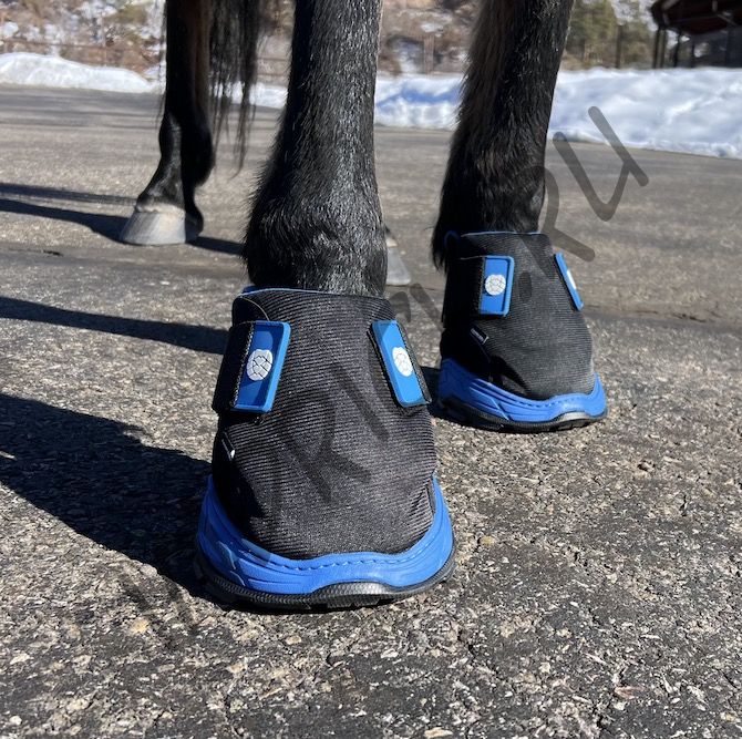 Ботинок для копыт Easyboot Rx2