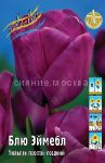 Тюльпан	Блю Эймебл (Tulipa Bleu Aimable), ПРОСТОЙ ПОЗДНИЙ, 11/12, 1 шт