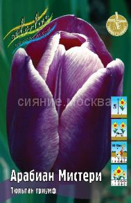 Тюльпан	Арабиан Мистери (Tulipa Arabian Mystery), ТРИУМФ, 11/12, 1 шт