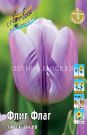 Tyulpan-Flig-Flag-Tulipa-Flig-Flag-TRIUMF-11-12-1-sht