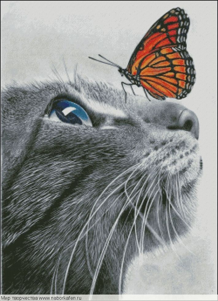 Набор для вышивания "Кот с бабочкой"