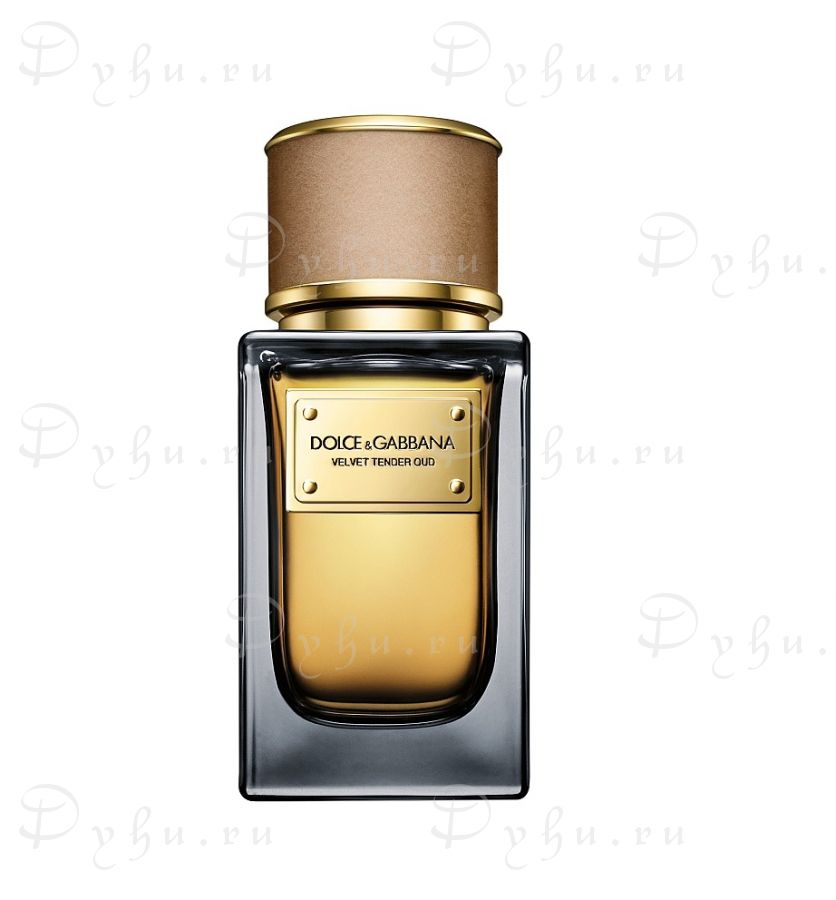 Velvet Tender Oud