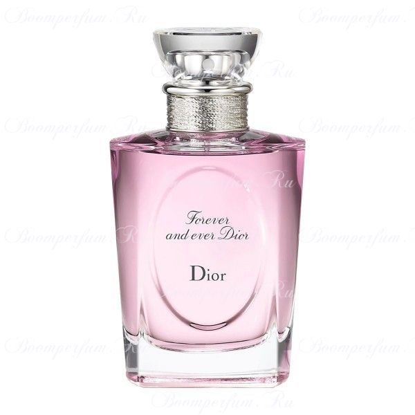 Christian Dior Forever And Ever Dior