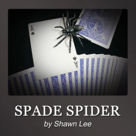 Карточный фокус Spade Spider by Shawn Lee