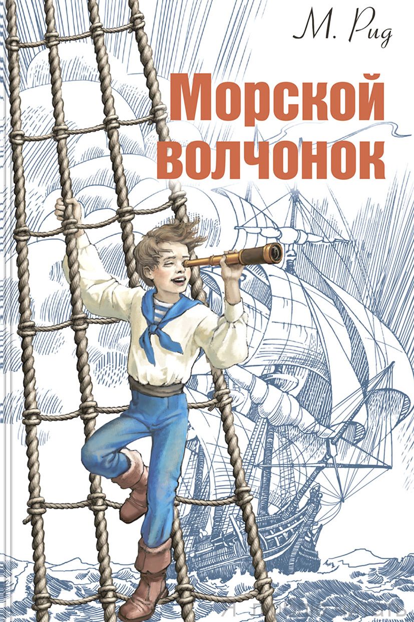 Морской волчонок