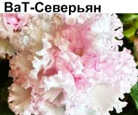 ВаТ-Северьян (Т. Валькова)