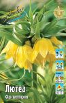 Фритиллярия (Рябчик) ЛУТЕА Fritillaria Lute, - 1 шт