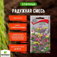 Семена Статица Радужная смесь   0,1гр.