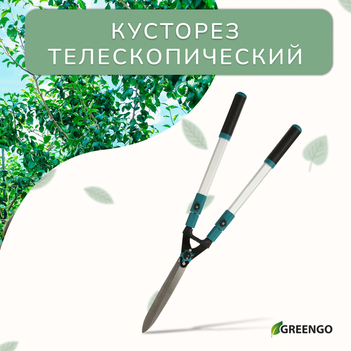 Кусторез, 31?44,5" (79?113 см), телескопический, с металлическими ручками , Greengo