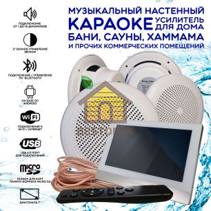 Комплект домашней акустической системы с караоке-усилителем Steam & Water SOUND 4 Standart