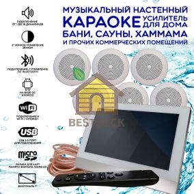 Комплект домашней акустической системы с караоке-усилителем Steam & Water SOUND 6 Standart