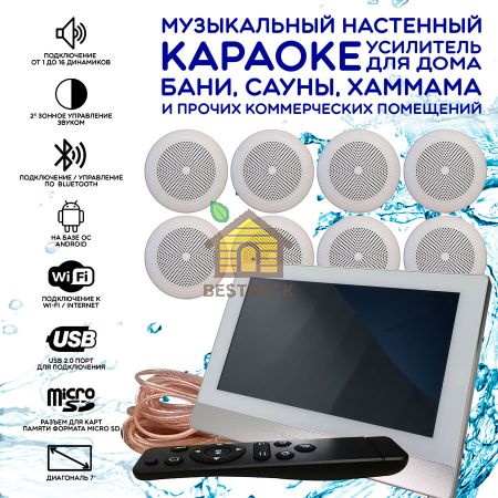 Комплект домашней акустической системы с караоке-усилителем Steam & Water SOUND 8 Standart