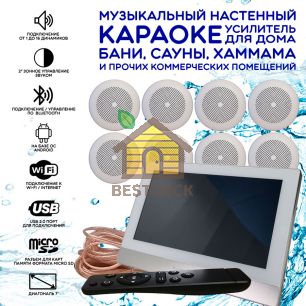 Комплект домашней акустической системы с караоке-усилителем Steam & Water SOUND 8 Standart