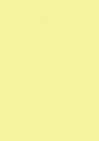 ЛДСП Желтый лимонный  М.335.S01  16х2800х2070 мм (матовый)