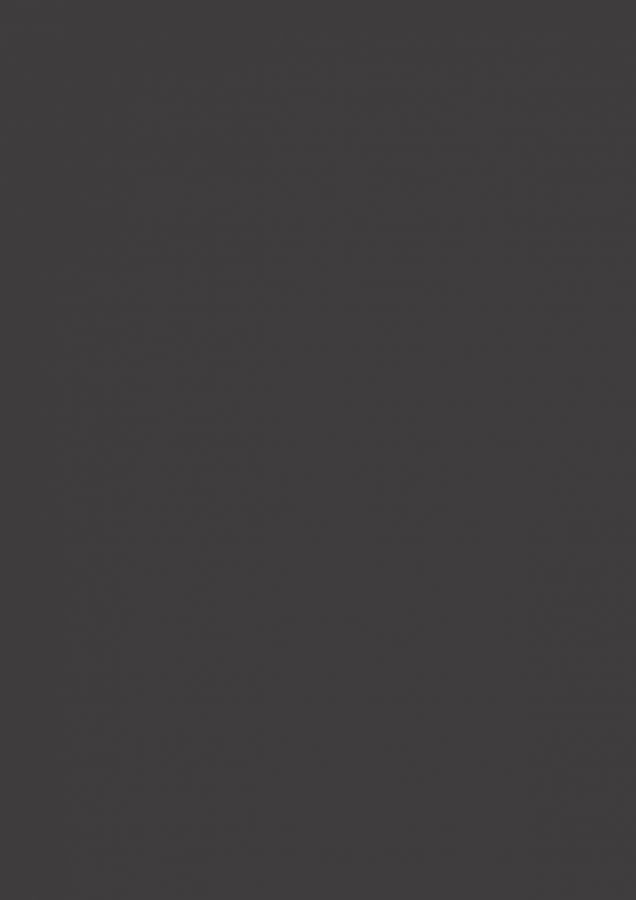 ЛДСП Серый графитовый  М.423.S01  16х2800х2070 мм (матовый)