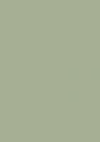 ЛДСП Зеленый буковый М.602.S01  16х2800х2070 мм (матовый)
