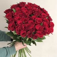 Акция! 51 красная роза импорт 60 см