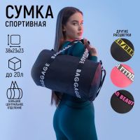 Сумка спортивная Baggage на молнии, цвет чёрный